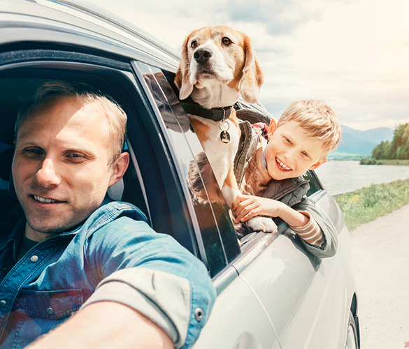 Illinois Autoowners with auto insurance coverage